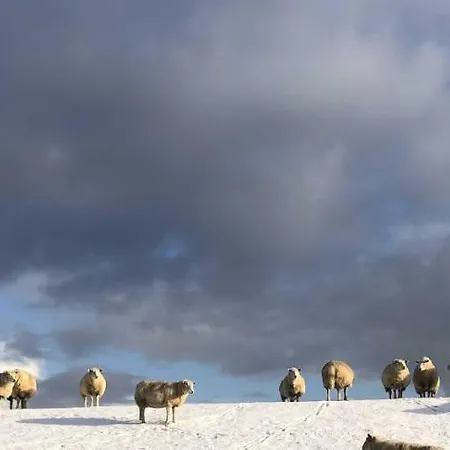 Appartement Tief 10 Abendsonne Mit Internet 508 *