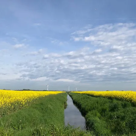 Tief 10 Abendsonne Mit Internet 508