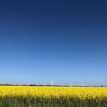 Appartement Tief 10 Abendsonne Mit Internet 508 Schillig