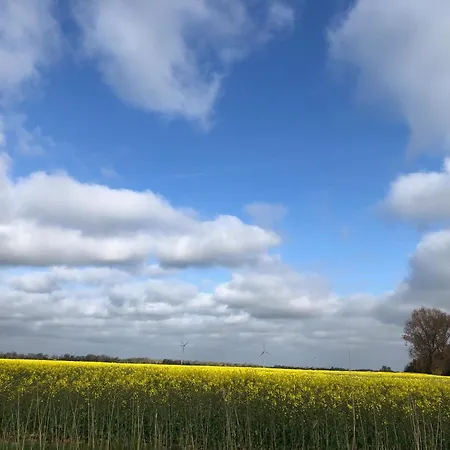 Apartman Tief 10 Abendsonne Mit Internet 508 Schillig