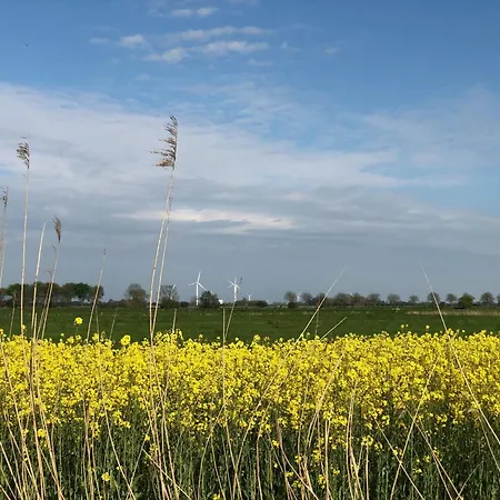 Tief 10 Abendsonne Mit Internet 508 Appartement *