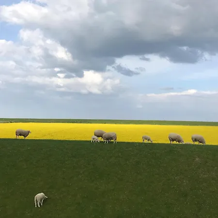 Tief 10 Abendsonne Mit Internet 508 Appartement