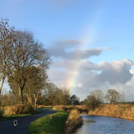 Tief 10 Abendsonne Mit Internet 508 Appartement Schillig