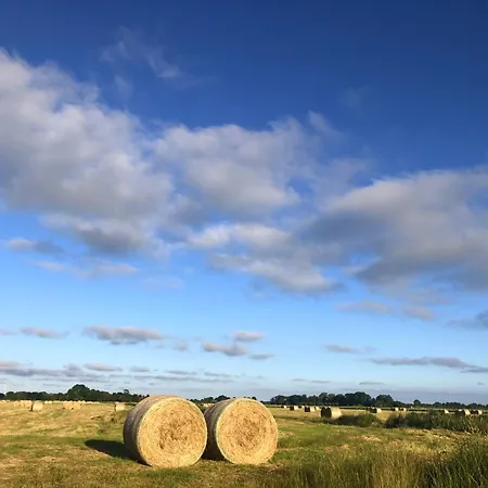 Tief 10 Abendsonne Mit Internet 508 Appartement