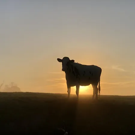 Apartman Tief 10 Abendsonne Mit Internet 508 *