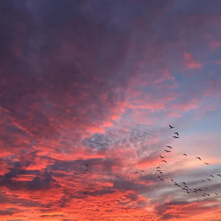 Appartement Tief 10 Abendsonne Mit Internet 508 Schillig