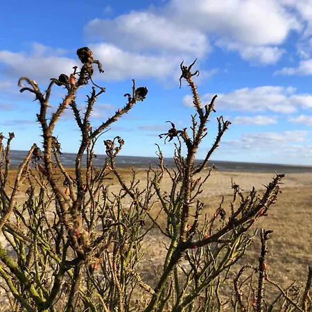 Appartement Tief 10 Abendsonne Mit Internet 508 Schillig