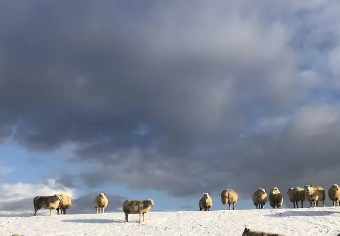 Apartamento Tief 10 Abendsonne Mit Internet 508 *