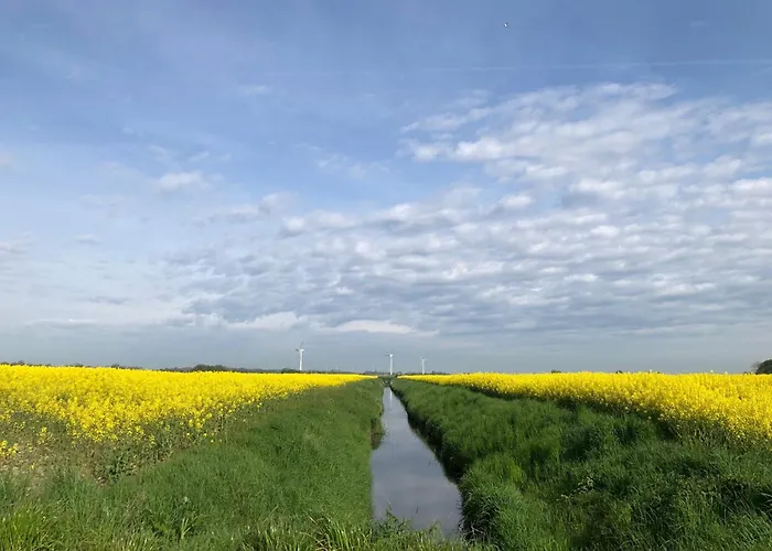 Tief 10 Abendsonne Mit Internet 508