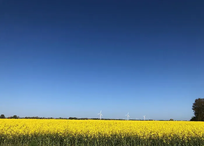Apartamento Tief 10 Abendsonne Mit Internet 508 Schillig