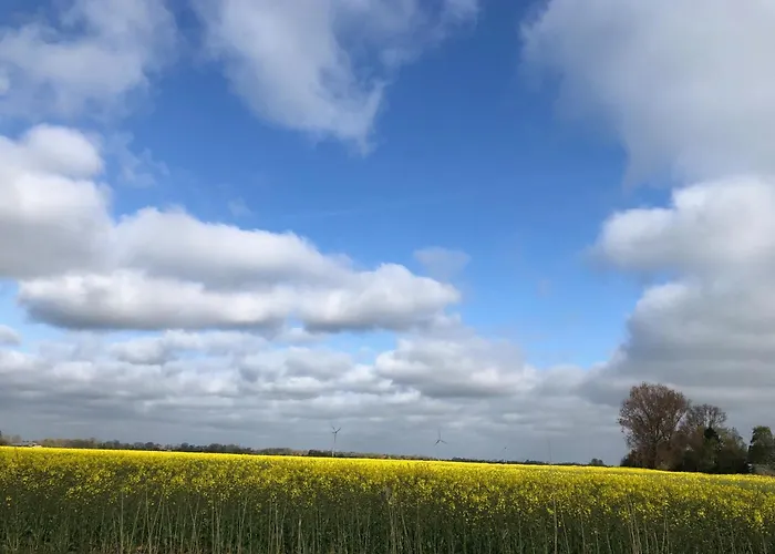 Apartamento Tief 10 Abendsonne Mit Internet 508 Schillig