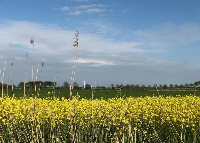 Tief 10 Abendsonne Mit Internet 508 Apartamento *