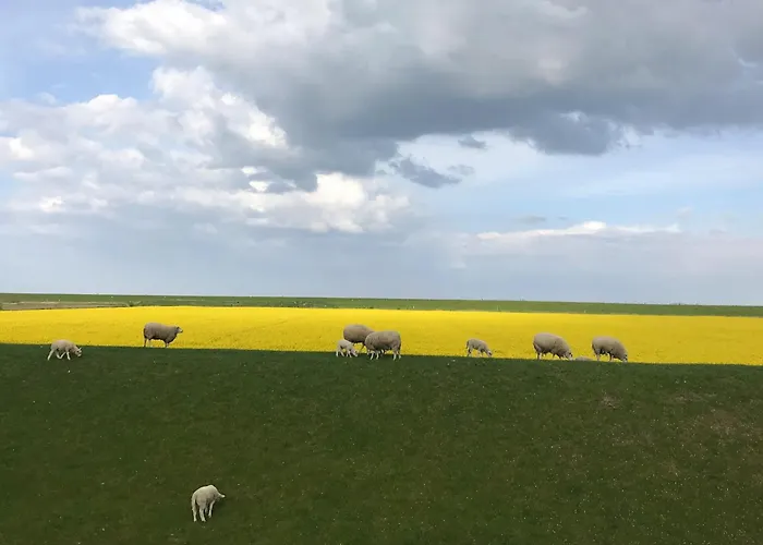 Tief 10 Abendsonne Mit Internet 508 Apartamento