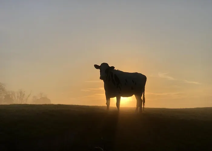 Apartamento Tief 10 Abendsonne Mit Internet 508 *