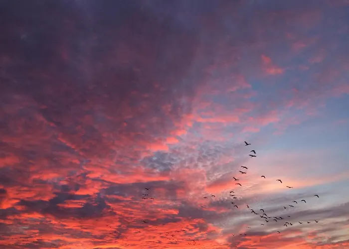 Apartamento Tief 10 Abendsonne Mit Internet 508 Schillig