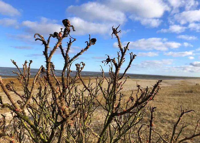 Apartamento Tief 10 Abendsonne Mit Internet 508 Schillig